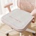 Creative Worker Cushion Silicone Bottom Dornier Four Seasons Universal Pad Non Slip Summer Computer Chair Pad_voghion.com