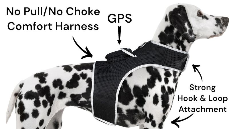 Collar Clipped GPS Cat Tracker Enhanced Realtime Wireless Pet Locator Size:XS_voghion.com