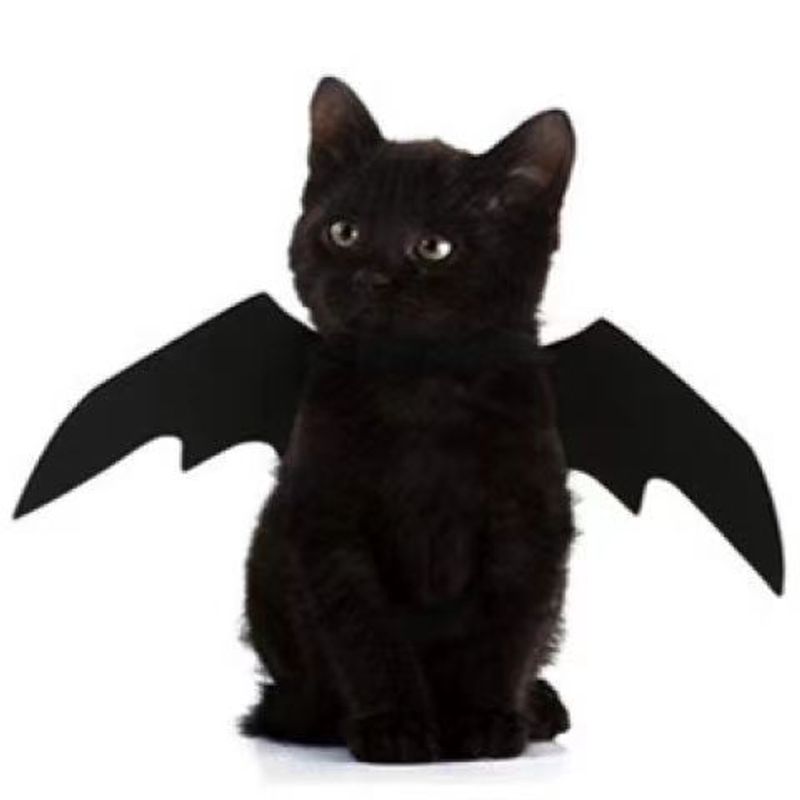 Haustiere in Katzen und Hunde Halloween Kostüm Fledermausflügel Spaß Haustierbedarf_voghion.com