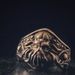 Anello regolabile Dreamland in argento puro placcato alla moda da uomo Cthulhu, gioielli mitologici e di magia oscura_voghion.com