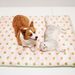 Es Ice Silk Kühlmatte Pet Pad Abnehmbare Waschbar Sommer Teddy Corgi Golden Retriever Hundebett Antihaft Haar_voghion.com