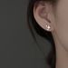 Star For Women Simple Niche Design Summer 2023 New Trendy Earrings Elegant Commuting Fashion Ear Accessories_voghion.com