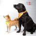 Dog Accessories Pet Collars For Cats And Dogs Triangular Bandages Pet Bibs Hunting Dog Anti Accidental Killing Warning Color Scarves_voghion.com