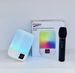 Shanshui Same Style DY20K Wireless Karaoke Bluetooth Small Night Light Table Lamp Music Atmosphere Outdoor Speaker_voghion.com