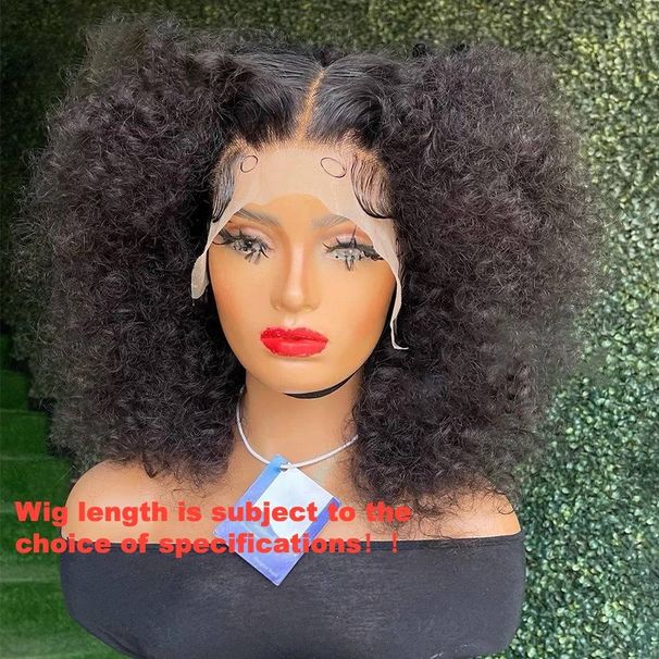 Black Ladies Front Lace Wig Set New Arrival Wig Fluffy Long Curly Hair Afro_voghion.com