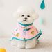 Poncho antipioggia impermeabile coreano per cani di piccola taglia, media e grande, con cappuccio e mantello a cartoni animati per Teddy Bichon_voghion.com