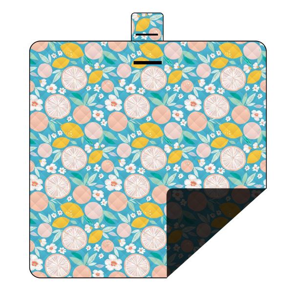 Waterproof Picnic Blanket – Extra-Large 200x200cm, Sandproof & Lightweight (750g) For Camping, Beach, And Park_voghion.com