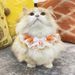 Katzenschal Fliege Haustierhalsband Sabbertuch Gestrickte Halsdekoration Lätzchen Niedliche Accessoires_voghion.com