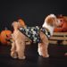 Oblečení pro domácí mazlíčky Halloweenské šaty Dýňové šaty Chovatelské potřeby Halloweenská párty_voghion.com