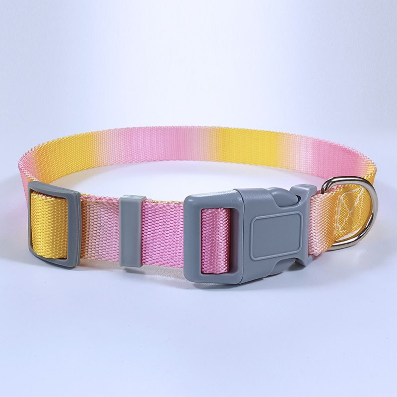 Produttore all'ingrosso di guinzagli per cani con catena e pettorina per pettorali con gradiente di colore e dopamina, di grande vendita._voghion.com