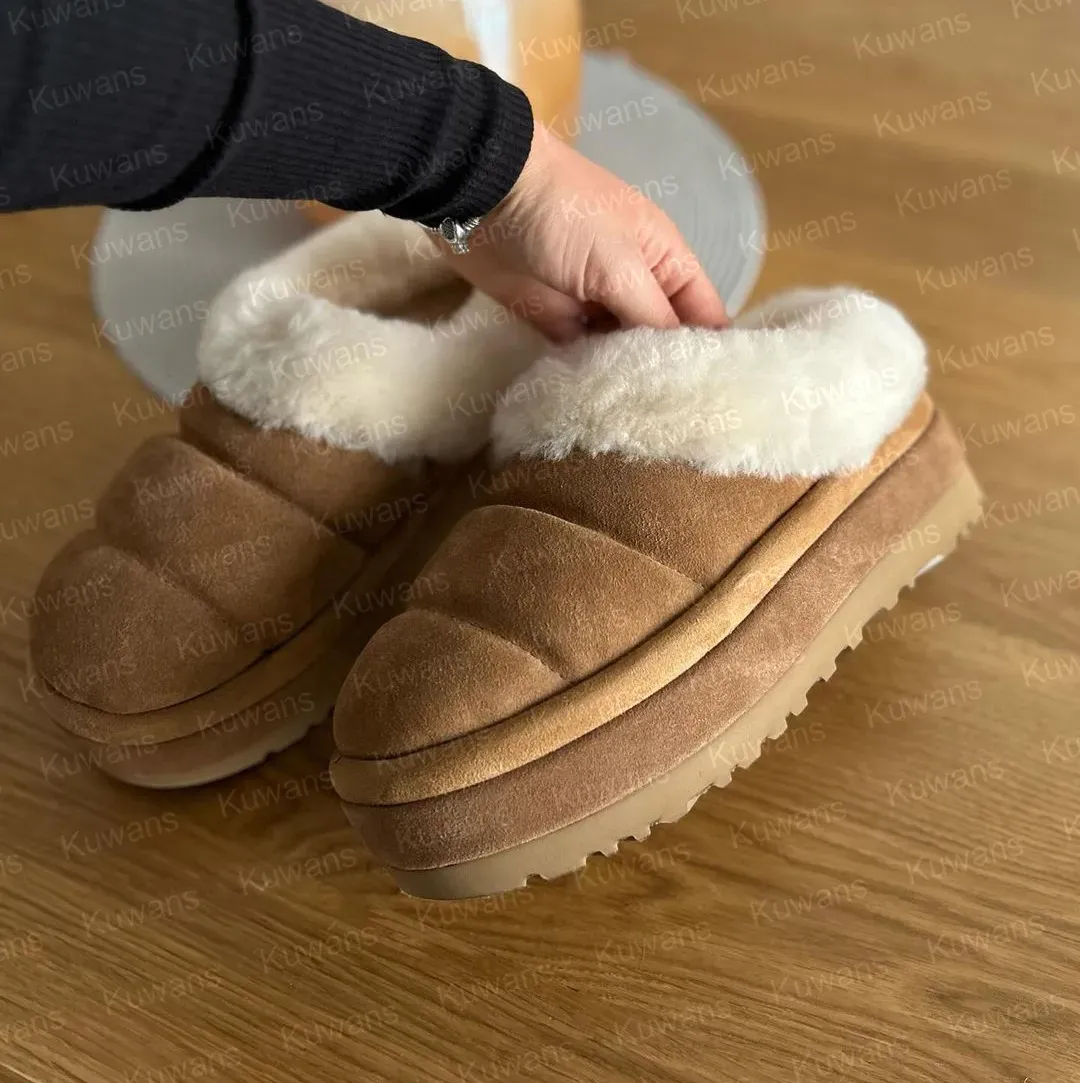 Naiste Tazzlita sussid Tasman Tazz karusnahast sandaalid klassikalised ultra mini platvormsaapad sinepiseemnetega Chesut sussid seemisnahast villast_voghion.com