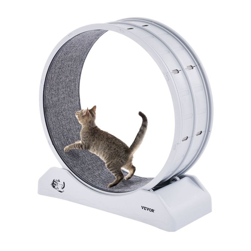 VEVOR Cat Exercise Wheel 31.5 In Large Indoor Cat Running Wheel Treadmill White_voghion.com