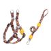Neu Leine Set Wärme Transfer Muster Multi-Farbe Hund Brust Harness_voghion.com
