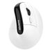 Digitex Digitex Shiny Silver Fox H5 Vertical Rechargeable 2.4G Wireless Bluetooth Dual Mode Mouse Business Office Computer Cross-Border_voghion.com