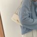 French Niche Handb Women's 2025 Cross-border Trend Retro Armpit High-end And Western-style Chain Versatile Crossbody_voghion.com