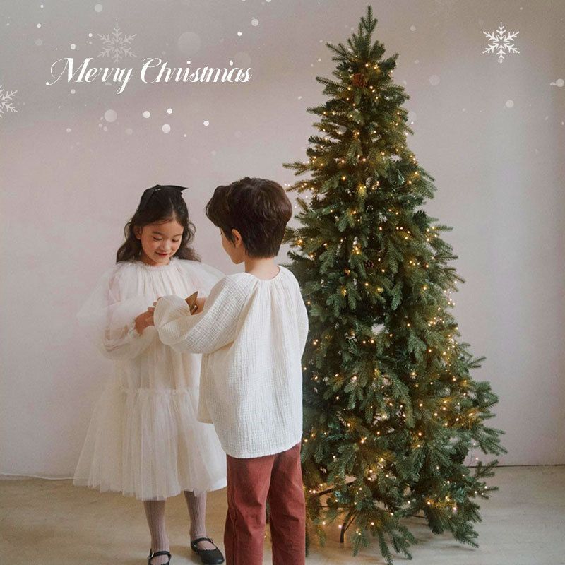 Christmas tree 2024 new pure PE encryption creative large ornaments ins style home use_voghion.com