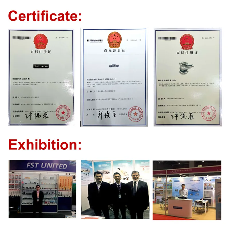 Ampoule halogène Super blanche H1 24V 100W, pour phare de voiture, lampe halogène pour moto, Stock ue_voghion.com