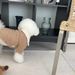 Korean Style Autumn Warm Dog Clothes Lamb Wool Cotton Coat Teddy Pomeranian Small Dogs Cats Winter Outfit_voghion.com