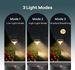 Linkind Solar Pathway Lights 8 Pack, Solar Lights Outdoor, Warm White Solar Path Lights Waterproof, Solar Lights for Walkway Yard Driveway Backyard_voghion.com