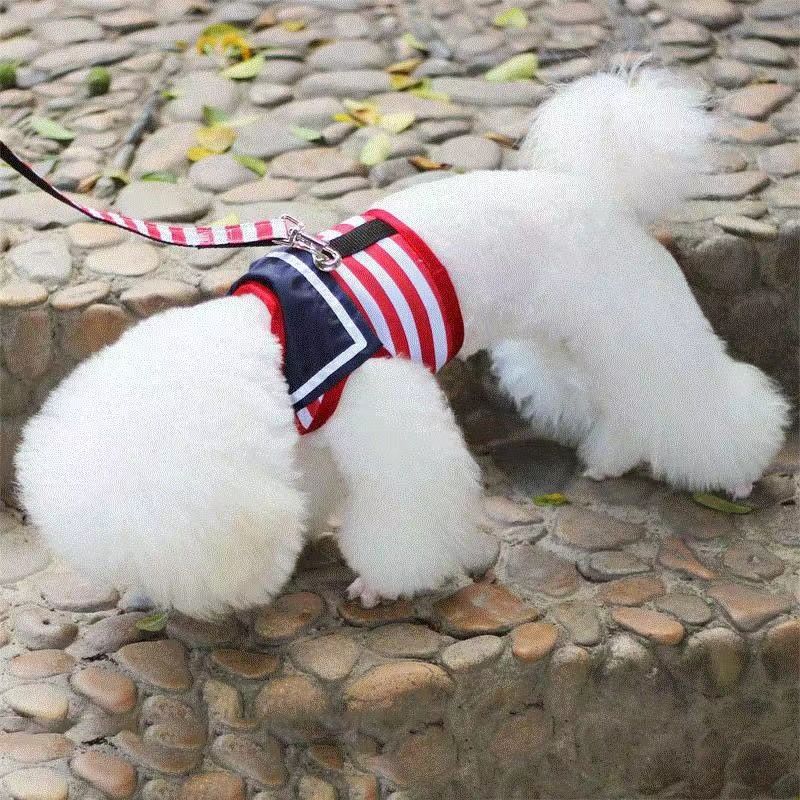 Haustiergeschirr Teddy Pudel Pommerschen Weste-Stil Walking Leine Welpen kleiner Hund_voghion.com