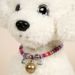 Haustierbedarf Teddy Dog Special für kleine und mittelgroße Hunde Hals Kupfer Glocke Katzenhalsband_voghion.com