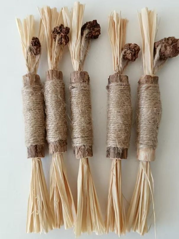 Muti Tian Polygonum Gall Fruit Combination Raffia Toy Teething Stick Cat Teaser Artifact_voghion.com