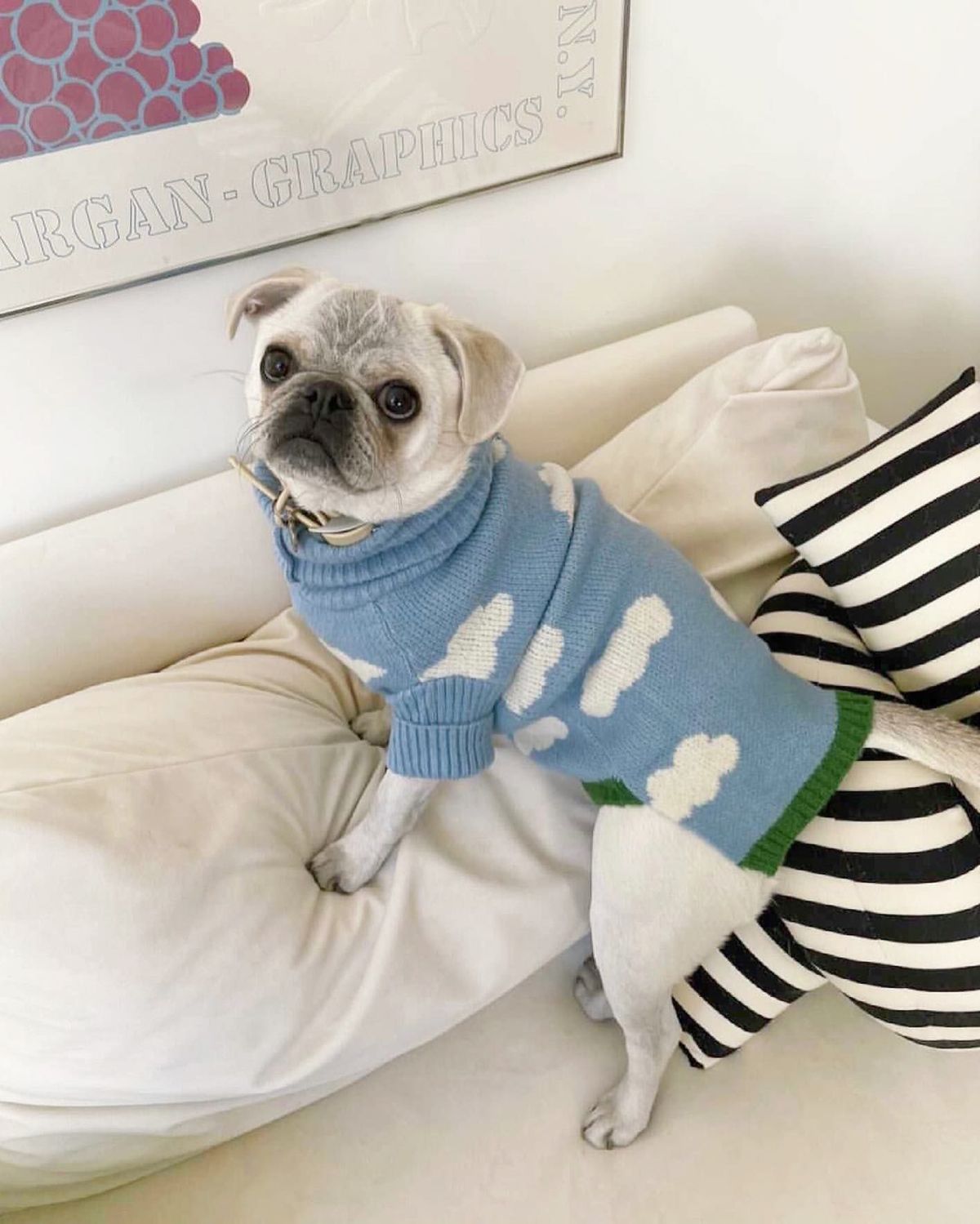 New Puppy Clothes Sweater Spring Autumn Winter Pet Clothing Cat_voghion.com
