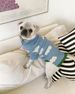 New Puppy Clothes Sweater Spring Autumn Winter Pet Clothing Cat_voghion.com