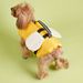 Summer New Pe-Specific Wings Life Jacke For Bichon Frise And French Bulldog Caroon High Buoyancy Oudoor Swimming_voghion.com