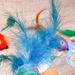 New Teasing Deep Sea Tropical Fish Series Pet Bite Resistant Feather Self Fun Soothing Cat Toy_voghion.com