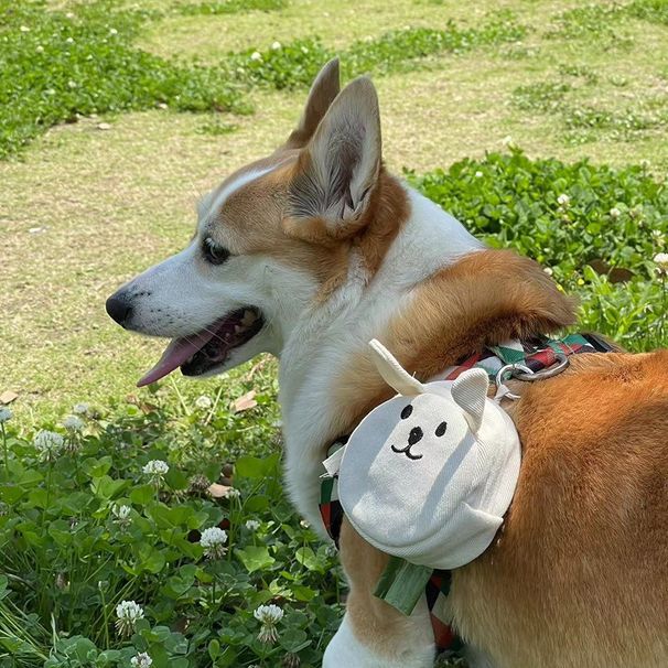 In Stock INS Style Pet Poop Cute Rabbit Cotton Cloth Dog Walking Key Bag_voghion.com