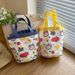 Women’s Bags Canvas Bag Tote Bag Office Worker Lunch Box Bag Cartoon Cute Bucket Small Bag Original Lunch Bag_voghion.com