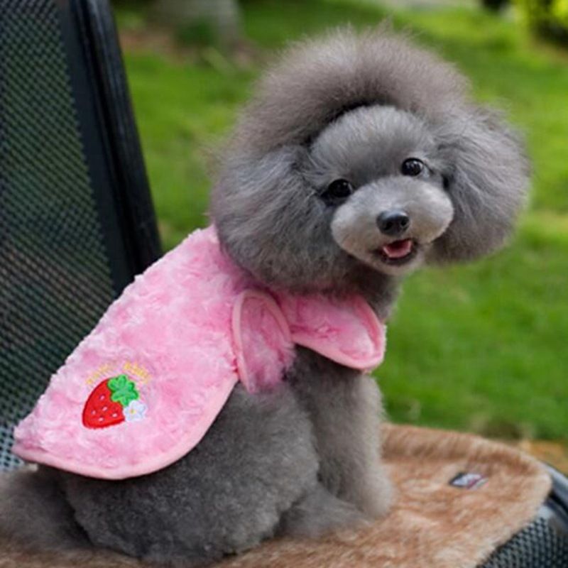 Cute Pet Clothes Dog Cat Two-legged Clothes Spring and Autumn Silk Two-legged Button Pajamas Bears Fadou Two-legged Clothes_voghion.com