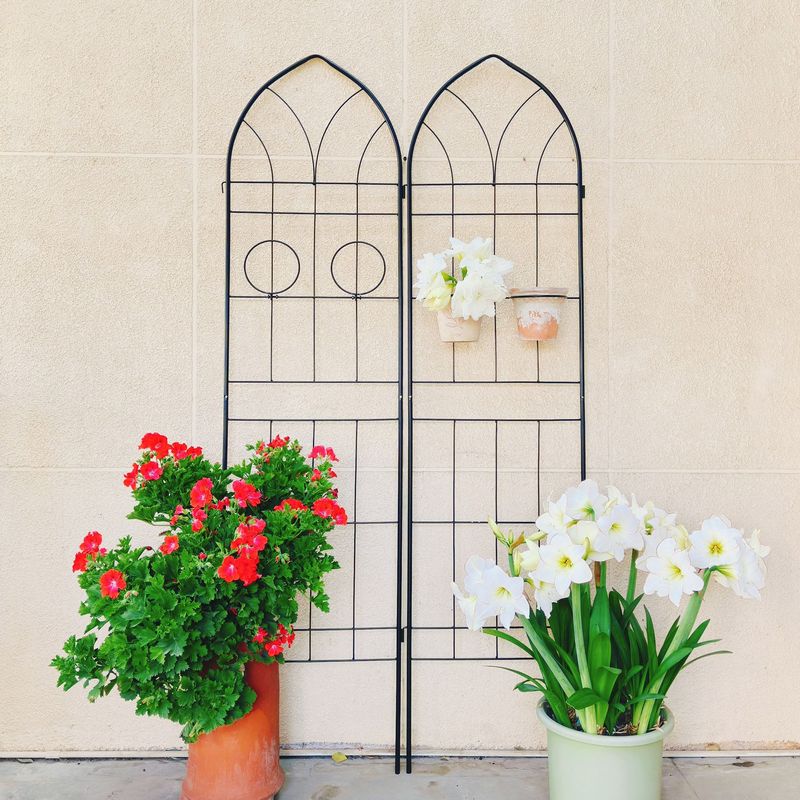 2 Pack Metal Garden Trellis 78.7" X 19.7" Rustproof Trellis For Climbing Plants Outdoor Flower Support Black_voghion.com
