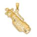 14K 2-D Golf Bag And Clubs Charm_voghion.com