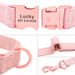Beirui Personalized Nylon Collar For Dogs By PawParty Store_voghion.com