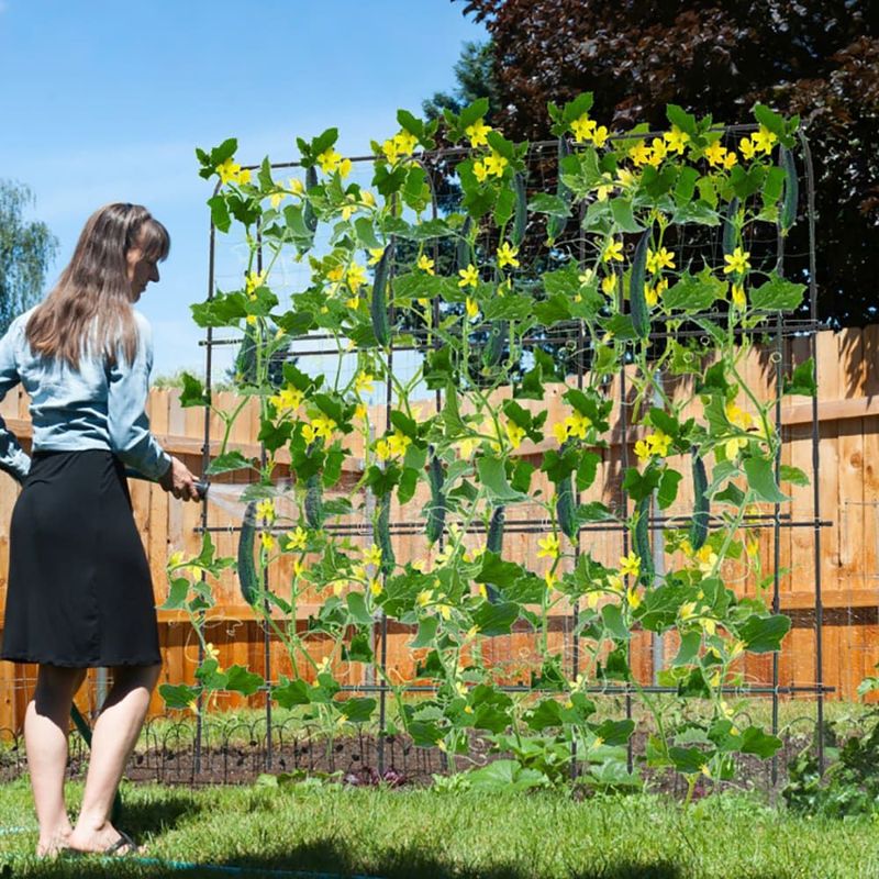 71 X 71 Inch U-Shaped Tall Garden Arched Trellis For Climbing Plants_voghion.com
