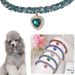 Collana con ciondolo a forma di cuore di diamanti per animali domestici, collare multicolore per gatti e accessori con catena di strass per cani_voghion.com