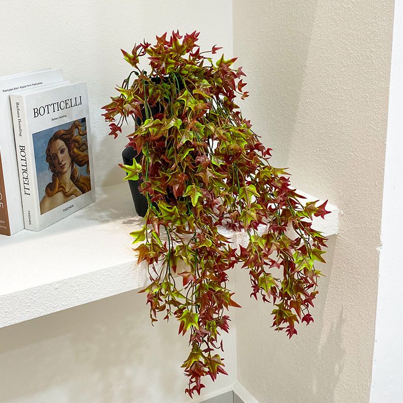 Plant wall hanging sweet potato rattan green plant vine plant wall decoration spider plant hanging_voghion.com
