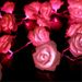Guirlande lumineuse romantique à LED avec roses - Décoration de mariage, Saint-Valentin, Noël et fête à piles_voghion.com