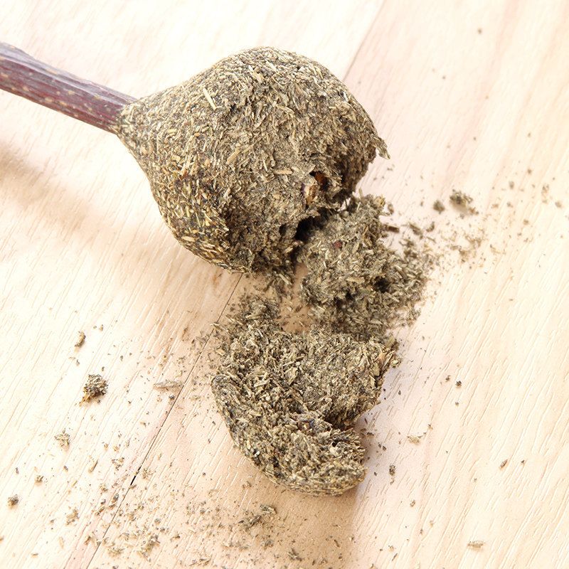 Pet Snacks Catnip Balls Wood Tianpo Sticks Lollipop Teasing Toys Cat Teething Stick No Trace_voghion.com