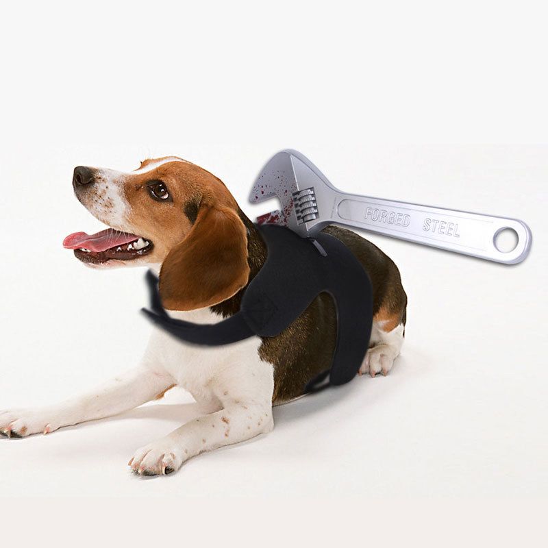 Kitty dog Halloween dress chest back spoof suspenders kitchen knife bottle hammer insert small medium large dog_voghion.com