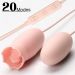 Eggs/Bullets 20 Frequency Dual Vibrating Egg Remote Control Tongue Licking Femal Masturbation Clitoral G-point_voghion.com