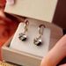 Women's earrings new trendy temperament niche design earrings for women summer_voghion.com