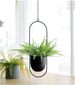Bassin suspendu en fer forgé suspendu plante hydroponique suspendue orchidée suspendue ornements suspendus balcon jardin européen paresseux suspendu orchidée pot de fleur suspendu_voghion.com