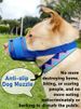 Muzz Dogs Biting, Barking, Accidental Feeding, Prevents Slipping, Suitab For Small, Medium, And Large Dogs, By PawParty Store_voghion.com