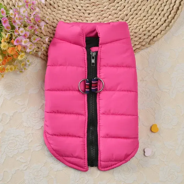 WANGMEOW Warm Windproof Jacket For Small Dogs By PawParty Store_voghion.com