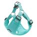 Pettorina anti-roaming per cuccioli, comoda da indossare, guinzaglio anti-fuga per passeggiate con il cane, resistente all'usura_voghion.com