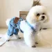 WANGMEOW Denimowy garnitur dla psa od PawParty Store_voghion.com
