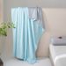 A-Class Ice Silk Cooling Blanket - Lightweight & Machine Washable Summer Quilt For Air-Conditioned Rooms (Hypoallergenic Breathable Solid Color)_voghion.com